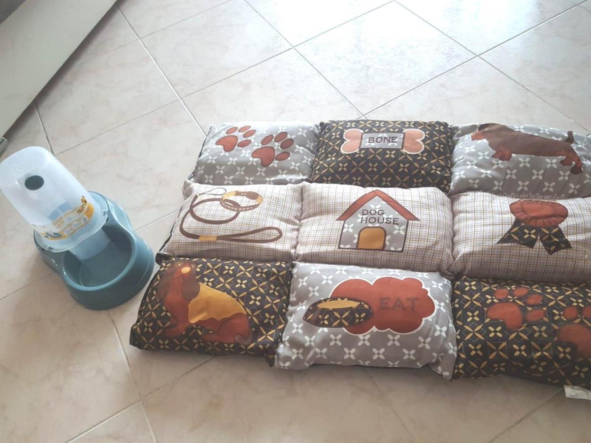 Isotta Guest House Family E Pet Friendly เปรูจา ภายนอก รูปภาพ